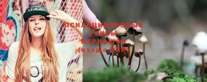 продажа наркотиков  Коркино  Галлюциногенные грибы Psilocybe 